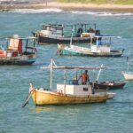 Sedap inicia em fevereiro recadastramento do Programa Mais Pesca